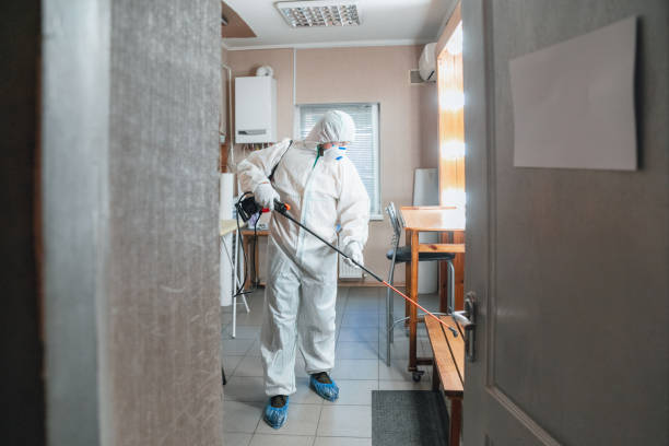 Best Residential Mold Inspection & Testing  in Stacy, MN