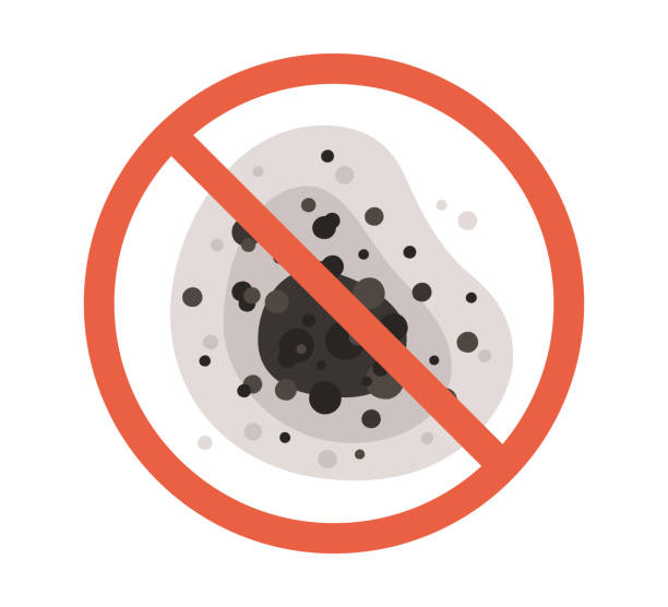 Best Mold Odor Removal Services  in Stacy, MN