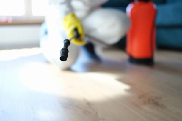 Best Mold Removal for HVAC Installations  in Stacy, MN