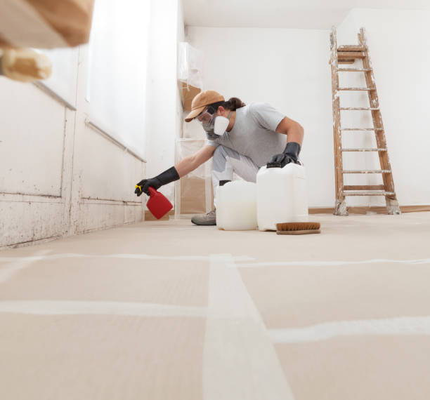 Best Mold Remediation for Healthcare Facilities  in Stacy, MN